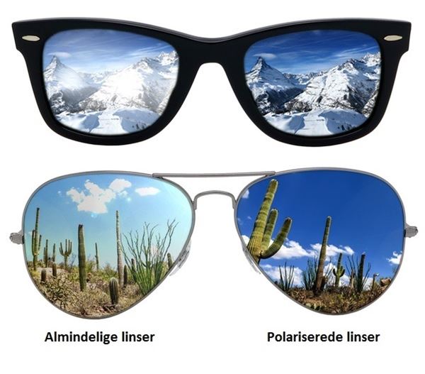 hack forsigtigt definitive Polariserede Solbriller til kvinder Monel